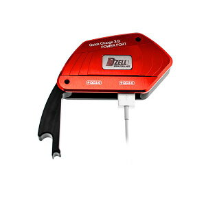 Rn[g Dzell USB Two|[g BMW-RiRED) QC3.0×2  780212 JPX