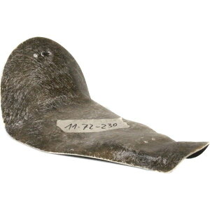 T_[oCN V[gx[X 08N-17N \teC T_[oCNAtF_[p 21C`-260 THU-11-72-230 JPX