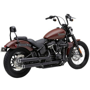 yUSA݌ɂz Ru COBRA 3C` XbvI}t[ RPT FLSL/FLFB CubN 1801-1245 JPX