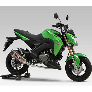 y[J[݌ɂz V tGL][Xg R-77S @BȃTCN EXPORT SPEC 16N Z125PRO `^u[Jo[/J[{Gh 110A-202-5180B JPX