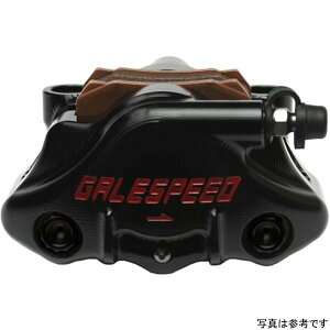 QCXs[h GALE SPEED G{[g ALp[ 30 `^{gdl GSRCA30T JPX