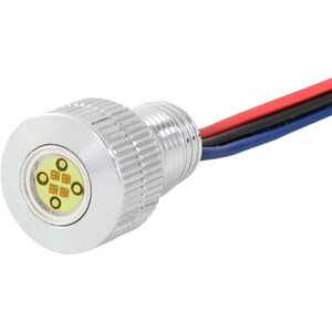 �yUSA�݌ɂ���z �|�[�����t�B�[ Paul Yaffe LED���C�g �{���g ��/�A���o�[/�V���o�[ 2040-2491 JP�X
