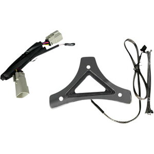 yUSA݌ɂz JX^ _Ci~NX LEDobNXg u[L 15Nȍ~ FLRT 2040-2616 JPX