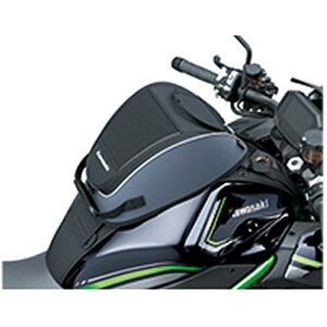 �J���T�L���� �^���N�o�b�O 21�N ZH2SE 99994-1433 JP�X