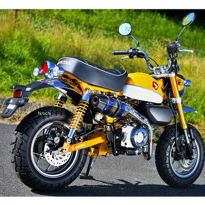 r[X BEAMS tGL][Xg CORSA-EVO2 L[125 q[g`^ G187-65-001 JPX