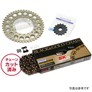 �T���X�^�[ �X�v���P�b�g���`�F�[���L�b�g 520 96�N-99�N RGV-�� 250SP �� KE3B404 JP�X