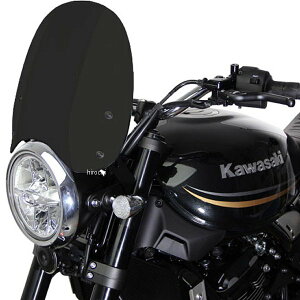 GA[G[ MRA XN[ c[O 18N-25N Z900RS  MT678K JPX