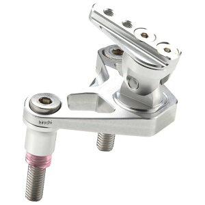 AG AELLA irXe[ hDJeB Xg[gt@C^[V4 DaytonaАN[hp  AE-77026-SH2 WT JPX