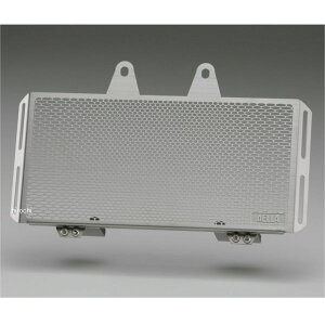 �A�G�� AELLA �I�C���N�[���[�v���e�N�^�[ BMW RnineT �V���o�[ AE-57021 SUS JP�X