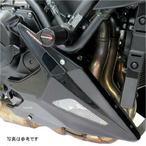楽天市場】h2 カーボンの通販