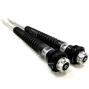 �}�g���X MATRIS �J�[�g���b�W�L�b�g F20K 06�N-13�N �A�v�����A RS125SP F20A101K-S JP�X