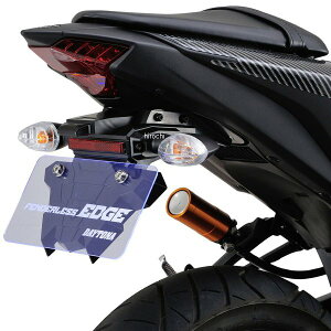 �y���[�J�[�݌ɂ���z �f�C�g�i �t�F���_�[���X�L�b�g EDGE 19�N YZF-R25 25803 JP�X
