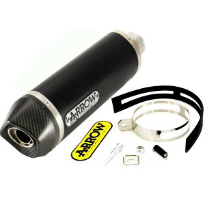 �A���[ ARROW �X���b�v�I���}�t���[ MAXI RACE TECH 09�N-13�N BMW K1300R �A���~�_�[�N/�J�[�{���G���h 71790AKN+71455MI JP�X