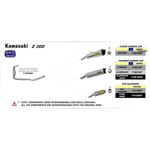 A[ ARROW XbvI}t[ X-KONE 13N-16N Ninja250 jN/J[{Gh 71801XKI JPX