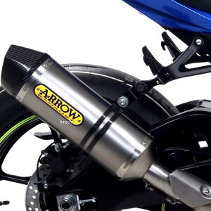 A[ ARROW XbvI}t[ RACE TECH JMCA 19N-21N GSX-R1000R `^/J[{Gh 71855PK-JMCA-19R1000 JPX
