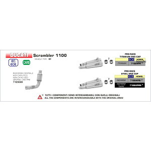 A[ ARROW XbvI}t[ PRO RACE fA 18N-19N hDJeB Scrambler1100 jN_[N/XeGh 71884PRN JPX