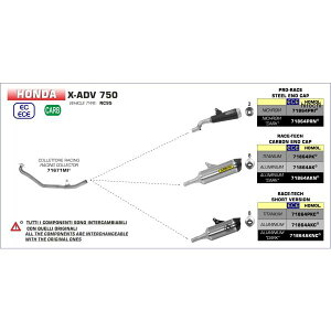 A[ ARROW XbvI}t[ RACE TECH 17N-22N X-ADV `^/J[{Gh 71864PK JPX