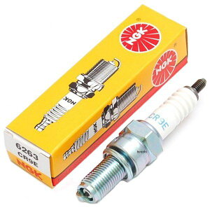 CR9E NGK ʃvO DR-Z250 GSX1300R }n 0087295162637 JPX