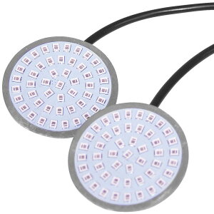 yUSA݌ɂz gbNCeBO LETRIC LIGHTING LEDouLbg obgX^CECJ[p 3in1 /Ao[ letLLC-BRBT JPX