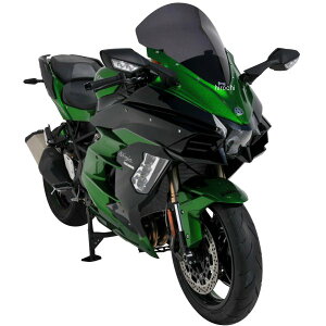 0103S76-XX A}bNX ERMAX nCveNV EChXN[ 47cm 18N-21N Ninja H2 SX SE O[ 0103S76-54 JPX