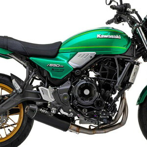 A[ ARROW tGL][Xg}t[ G}t 21N-22N Z650RS XeX_[N/J[{Gh 74510RBW-11071KZ JPX