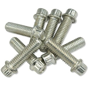 y[J[݌ɂz KbcN[ ^ybgubNXN[Lbg Jh~E 1/4-24 G8712-8 JPX