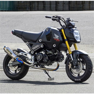 I[@[ OVER tGL][Xg GP-PERFORMANCE RS-R 21Nȍ~ O t`^ 13-223-21R JPX