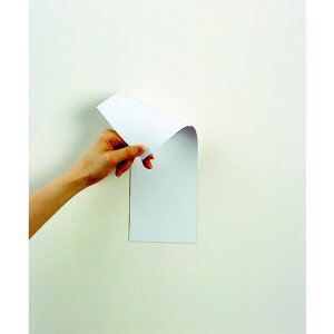 y[J[݌ɂz MSR10WW ()}OGbNX }OGbNX }OlbgʃJ[V[g MSR-10WW JPX