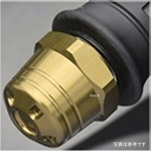 �A�O���X AGRAS �o�[�G���h 16�N-19�N ZX-10R �S�[���h 300-496-000G JP�X