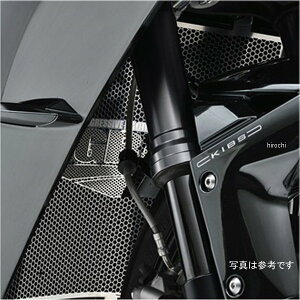 AOX AGRAS RAK[h A^Cv SL Ninja H2/SX 309-496-A00 JPX