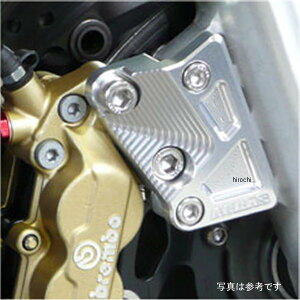 AOX AGRAS Lp[T|[g 4POT 03N-09N CB1300SF 318-167-000 JPX