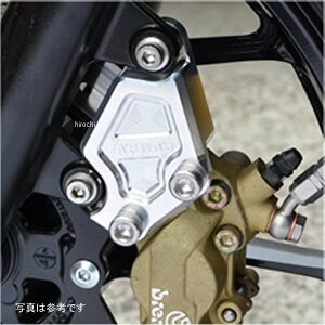 AOX AGRAS tgLp[T|[g u{40mmsb`p GSX250R 318-303-000 JPX