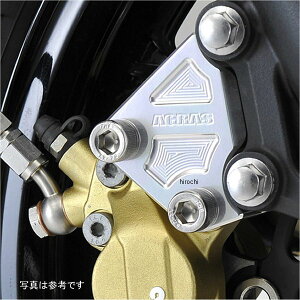 AOX AGRAS Lp[T|[g u{4POTp Ninja400R 318-484-000 JPX