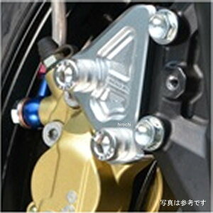 AOX AGRAS tgLp[T|[g u{4P Ninja250SL 318-495-000 JPX