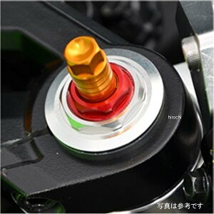 AOX AGRAS tgtH[NCjVAWX^[ Ninja250SL  351-495-000BK JPX