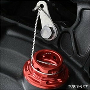 AOX AGRAS ICtB[LbvZbg M20×P2.5 `^ 454-020-250T JPX