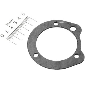 y[J[݌ɂz WF[Y JAMES GAN[i[KXPbg 95Nȍ~ rbOcC XL JGI-29313-95 JPX