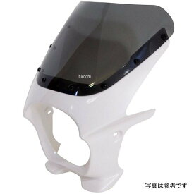 ワールドウォーク 汎用ビキニカウル AERO ブルーイッシュホワイトカクテル/クリア ds-01aero-15 JP店