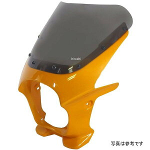 ワールドウォーク 汎用ビキニカウルR オレンジカクテル1/スモーク ds-01r-y5 JP店