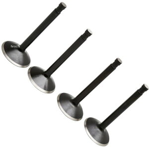 yUSA݌ɂz LuzCg Kibblewhite VALVE KIT PANHEAD 0926-3309 JPX