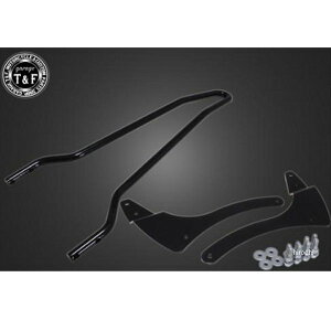 K[WTF tF_[pV[V[o[ V[g hbOX^[1100NVbN  DS1100CB05BK JPX