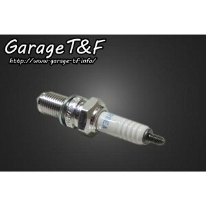 K[WTF NGKXp[NvO(DR8EA) GXg EST250SP01 JPX