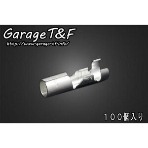 K[WTF ی^M{V[q X 100 PC16 JPX