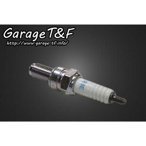 �K���[�WT��F NGK�X�p�[�N�v���O(CR8E) W650 W650SP01 JP�X