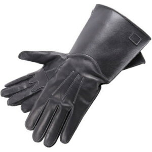 y[J[݌ɂz fOi[ DEGNER KgbgU[O[u / XLTCY WG-36 JPX