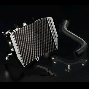 iCg[VO Eh^Cv ChWG[^[KIT 21Nȍ~ Z900RS  NI-WRZ92B JPX