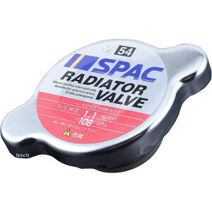 y[J[݌ɂz sA PIAA WG[^[ou M[^Cv SV54 JPX