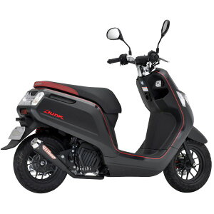 NR}WbN NR MAGIC Billy(r[) {F DUNK _N(2BH-AF78) JC200K-H10036 JPX