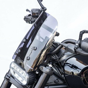 y[J[݌ɂz LW} XN[Lbg }Ego[t 21N- X|[cX^[S HD-05108 JPX