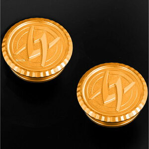 �y���[�J�[�݌ɂ���z ARCHI �A�[�L ARCHI���S�v���O�V���[�Y �t���[���t�����g Type-1 Z650RS -24�N �S�[���h 199-1015 JP�X